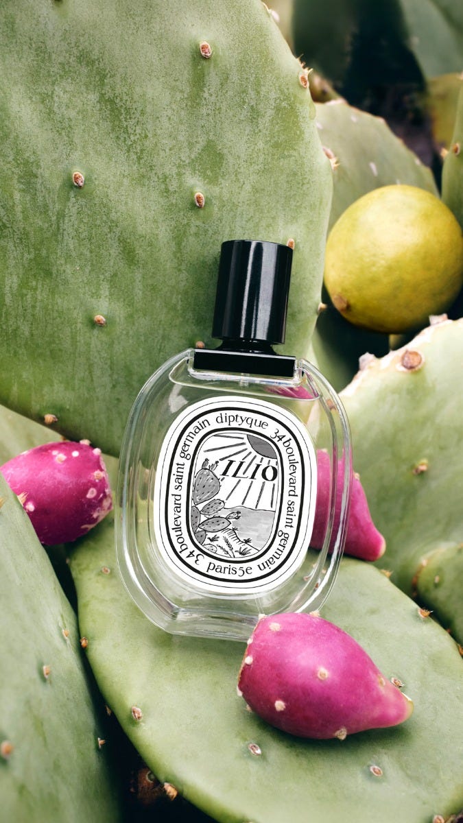 Ilio (イリオ) - オードトワレ - 100ml | Diptyque Paris