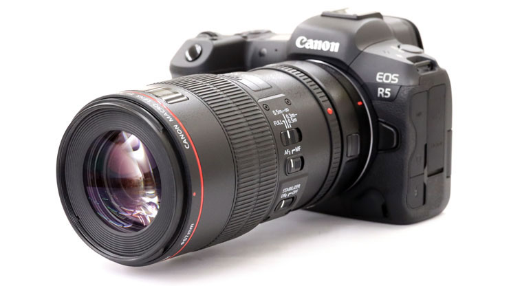 CanonEF100mm F2.8Lマクロ IS USM 実写レビュー