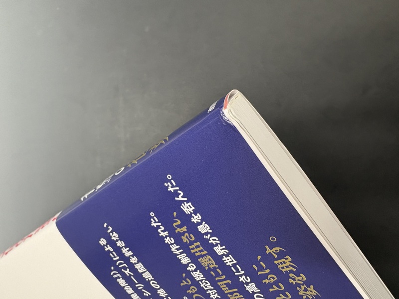 古書 ］THE ART OF 天使のたまご 増補改訂復刻版（アニメージュ編集部