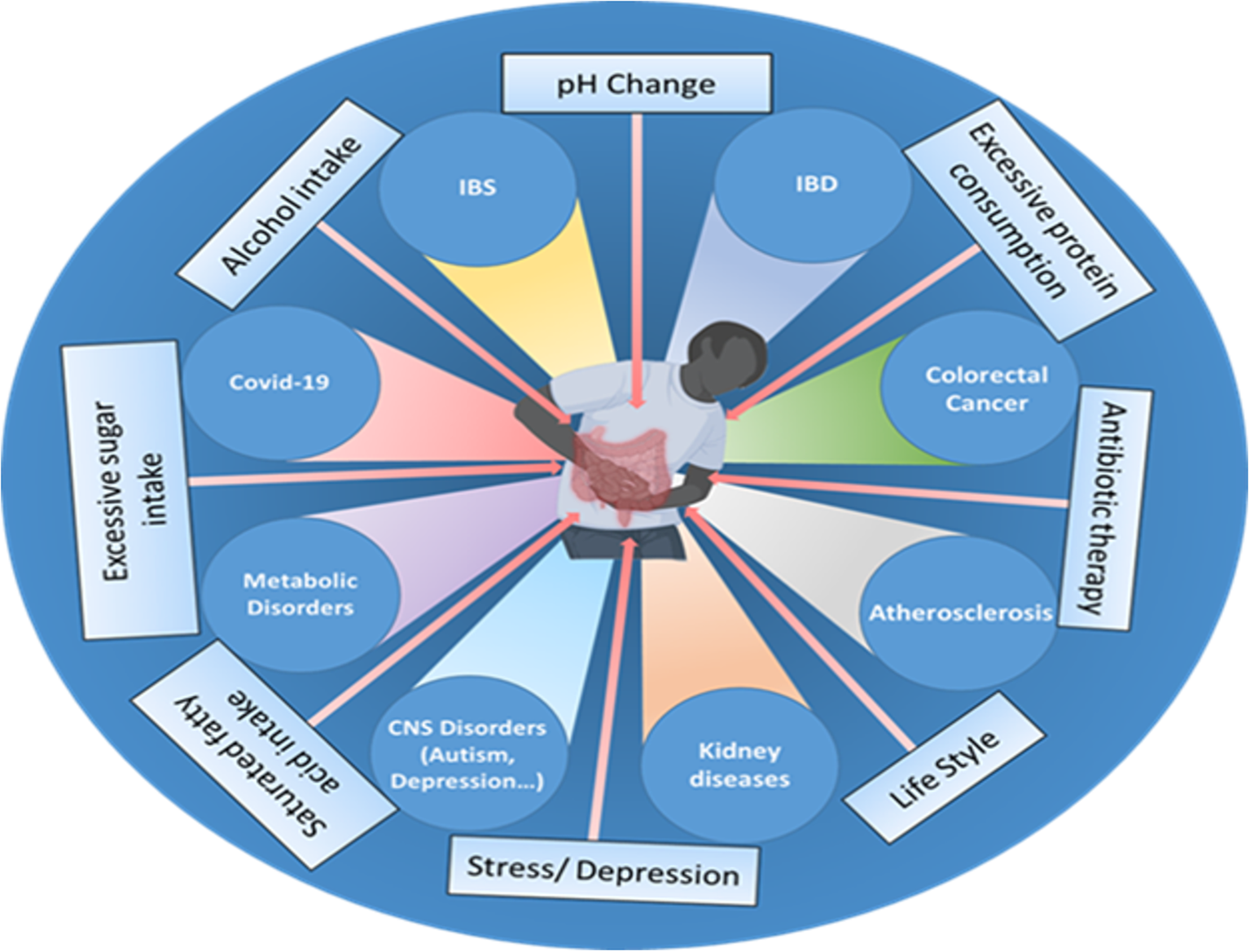 Frontiers | Gut bacteria: an etiological agent in human