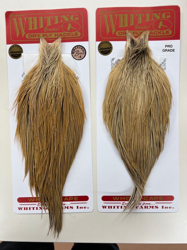 ホワイティングコックケープ ゴールデンバジャー