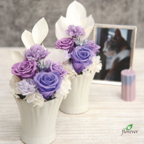 ミックスパレット 春夏限定「ラベンダーミックス」発売のお知らせ