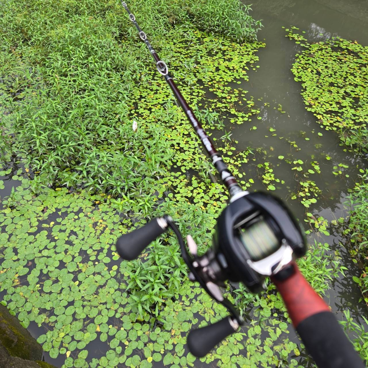 謎多きBC4 4.10MXH…その特徴や使い方をテスター渡辺に聞いてみた