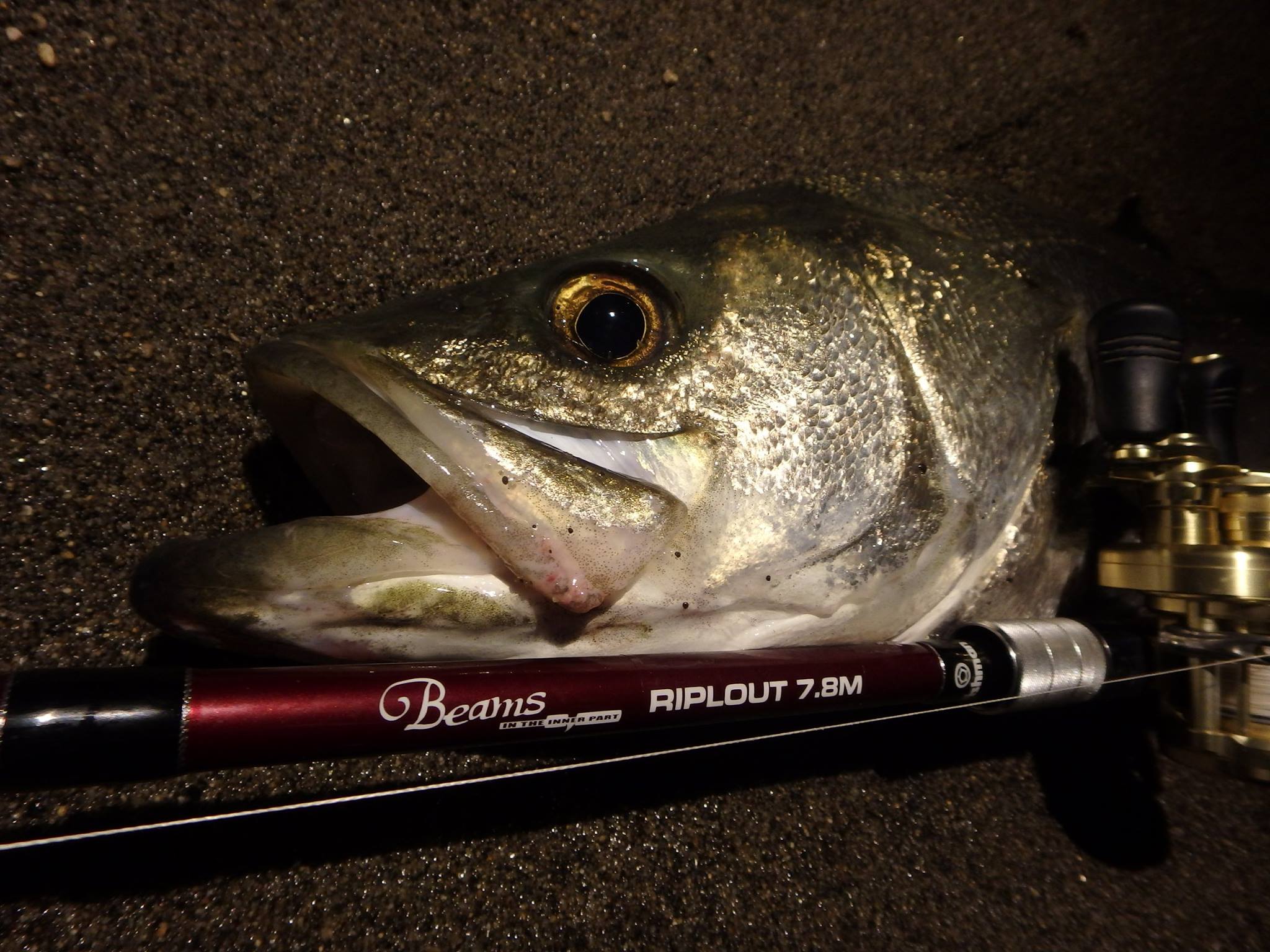 フィッシュマン リプラウト7.8MLにおすすめのリール - Fishman