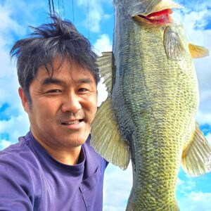 timeline_20241129_220521-