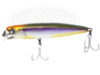 プラグ ロデオクラフト の通販・在庫一覧