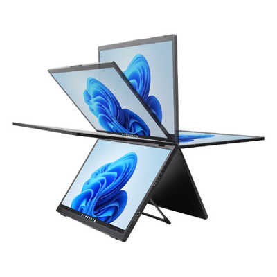 ITPROTECH USB-C接続 デュアルPCモニター ［15.6型 ×2/フルHD(1920