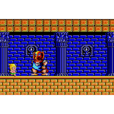 ININGAMES Switchゲームソフト ワンダーボーイ アルティメット