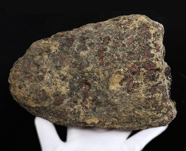 当時を偲ばせる写真のコピー付き！希少！かつての南極観測隊員が所有し