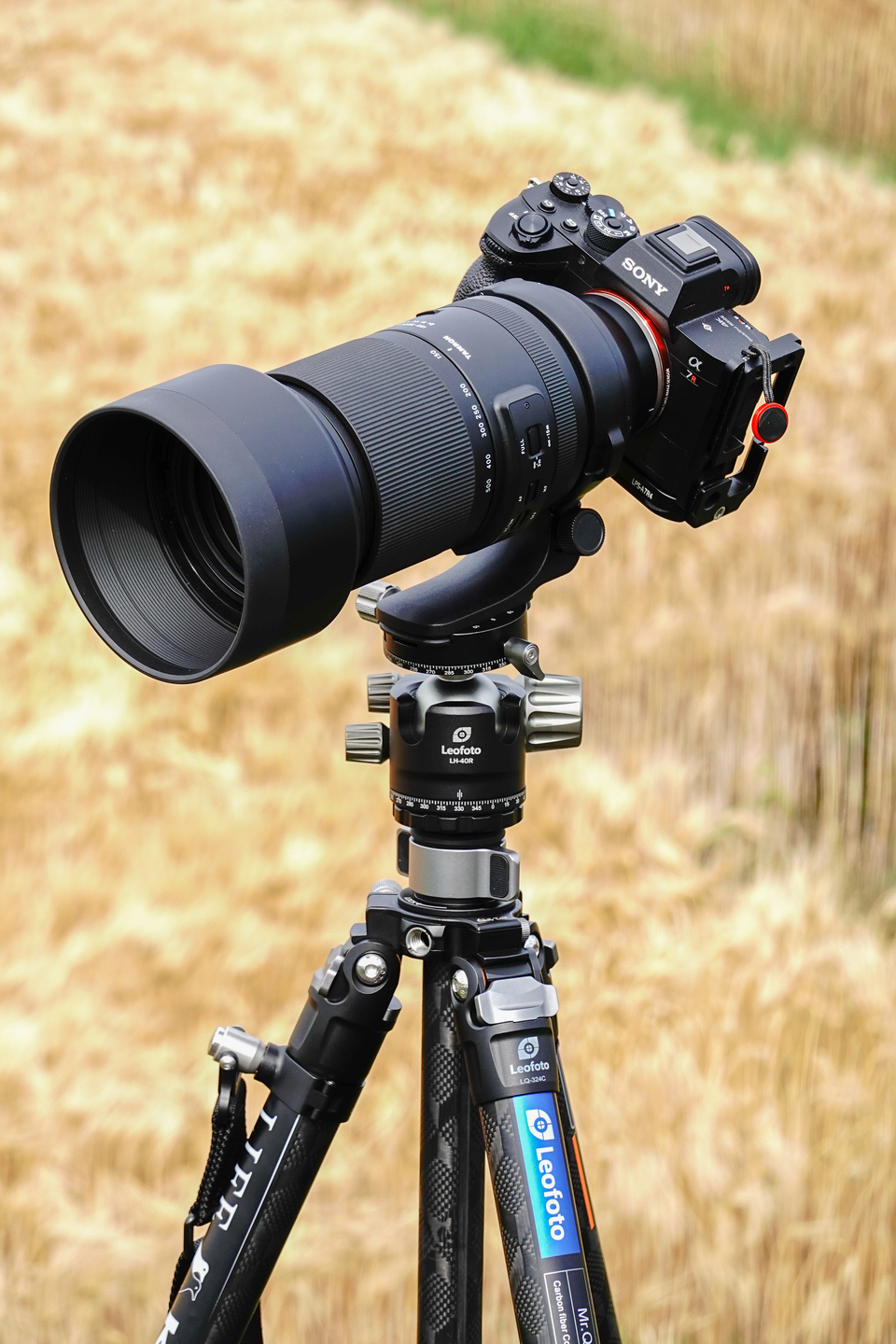 タムロン 150-500mm F/5-6.7 Di III VC VXD レビュー｜葛原よしひろ