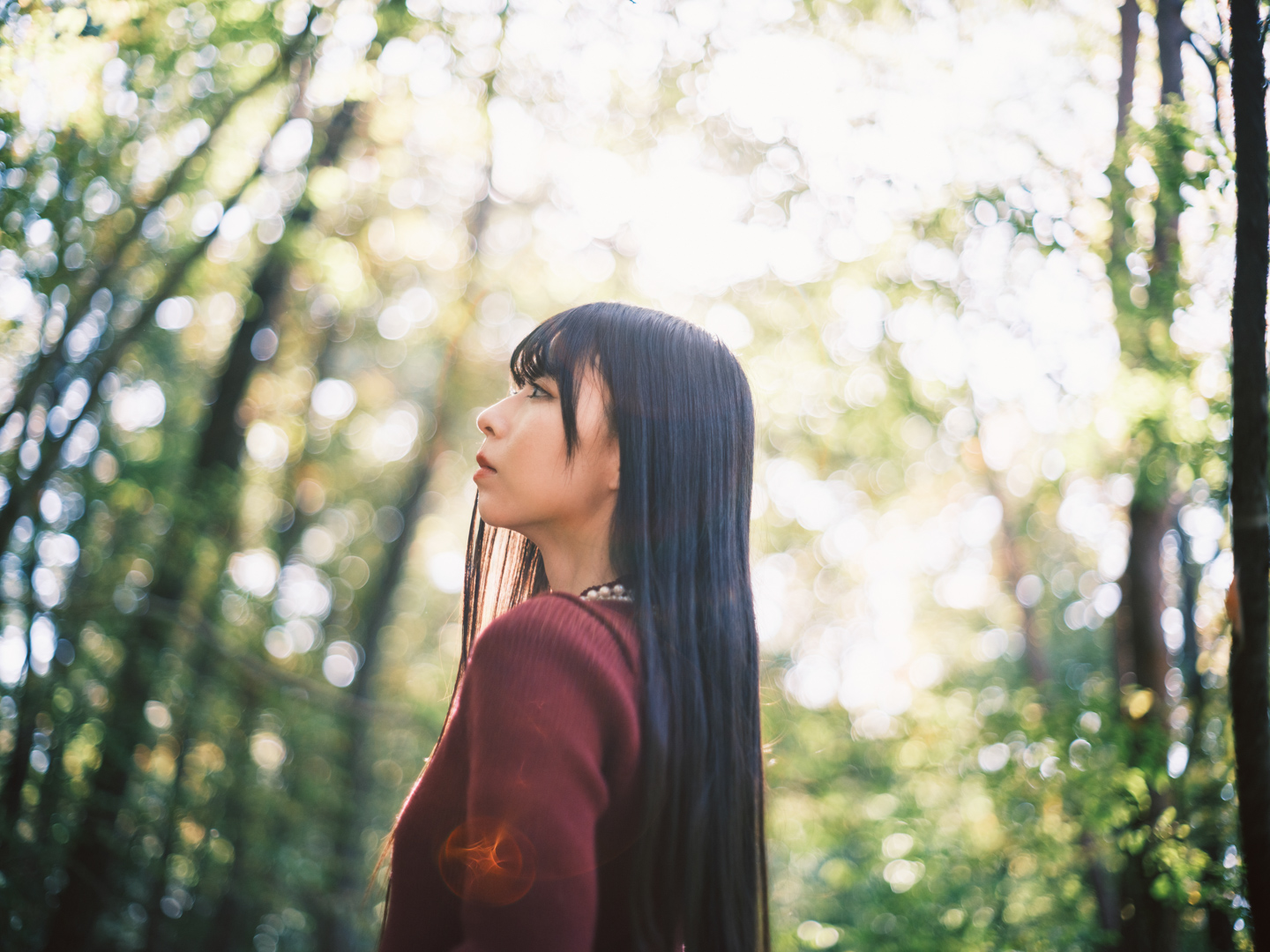 オールドレンズを始めよう！作例編Vol.5：Super-Takumar 55mm F1.8で