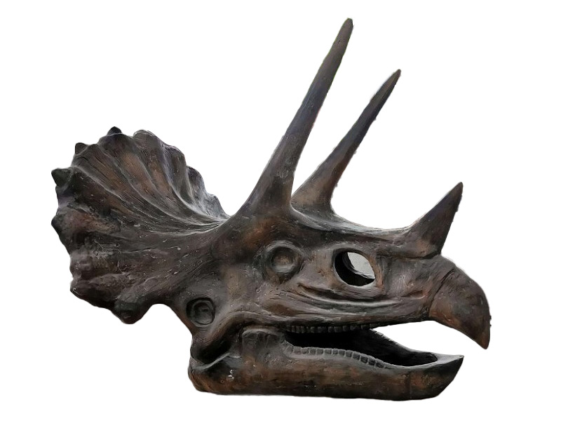 恐竜骨格(トリケラトプスの頭) レンタル - 東京 大阪 名古屋 全国対応