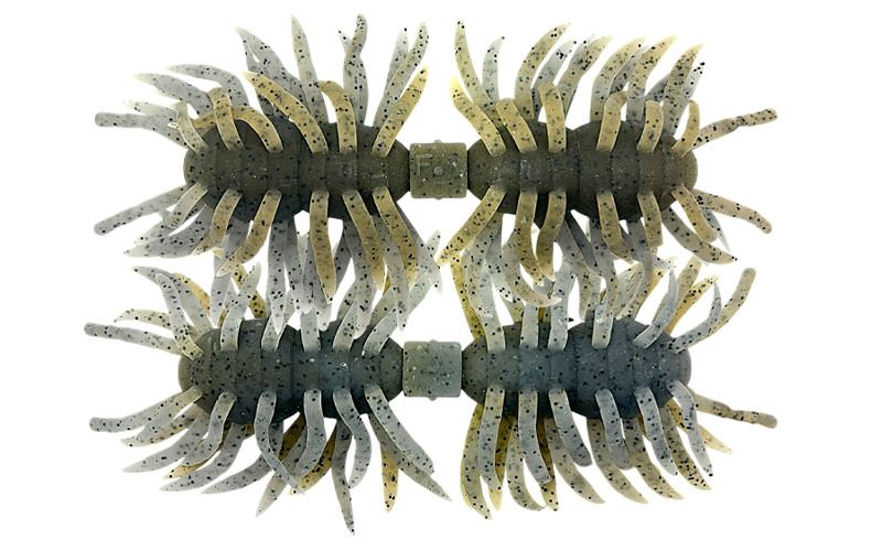 Hairy Spider Kujala | IMAKATSU