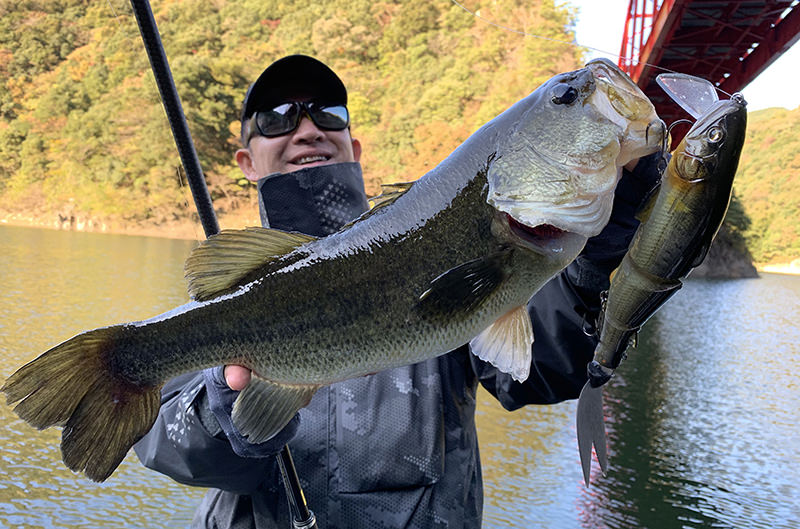 REPLICATOR XENLON | IMAKATSU