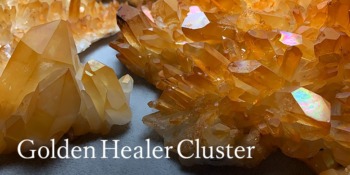 cat_goldenhealer_cluster-