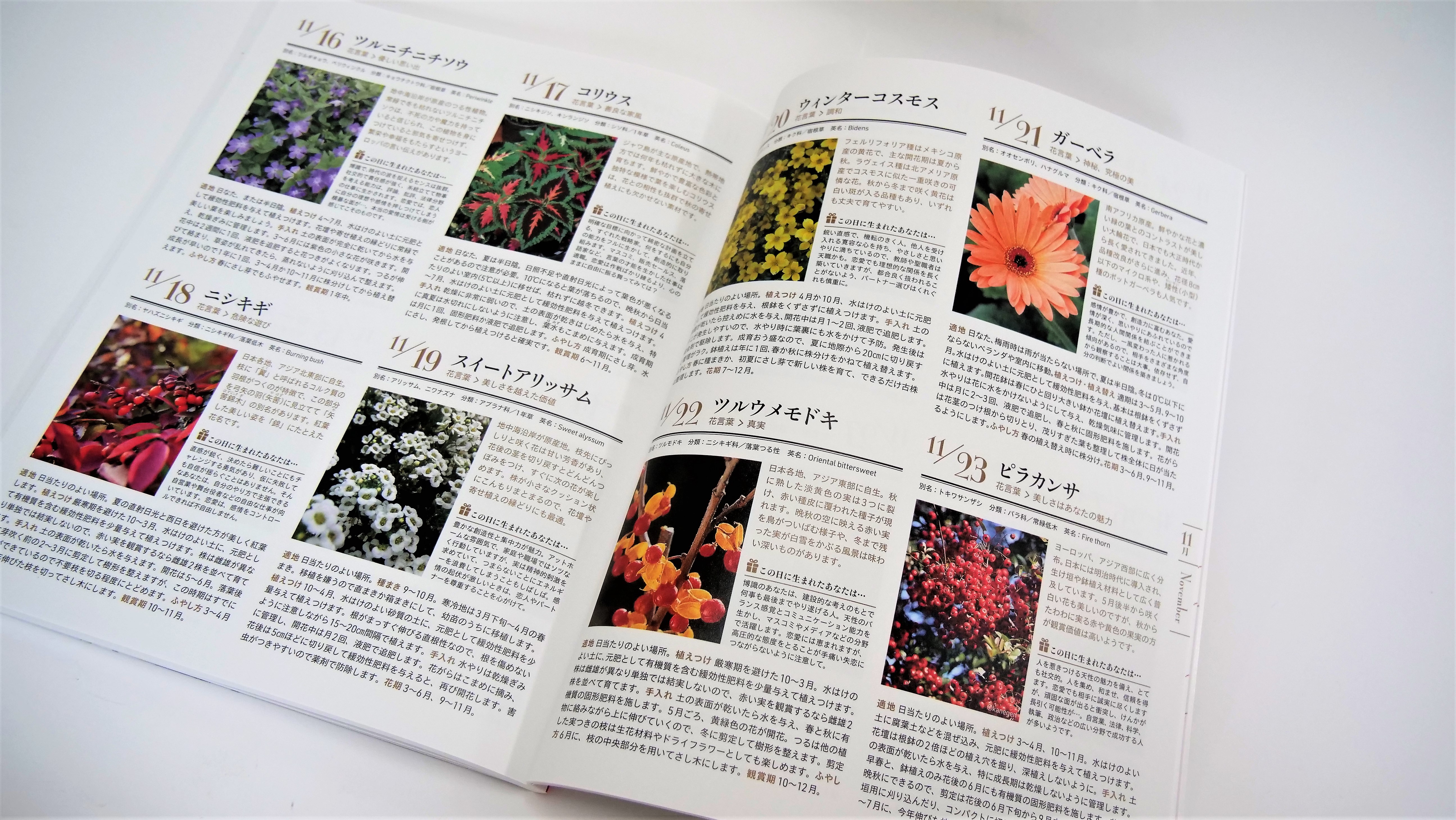 1年366日の誕生花と花言葉、育て方のコツなどを紹介した1冊 - 東京印