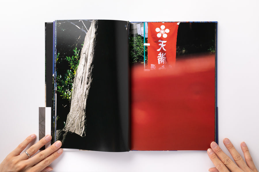 Mint) Documentary by 中平卓馬 – IACK