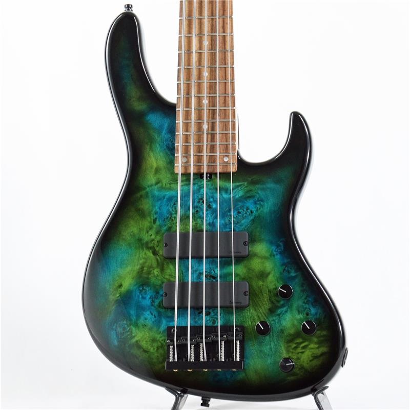 Sadowsky Guitars MetroLine 24-Fret Modern Bass Special Edition