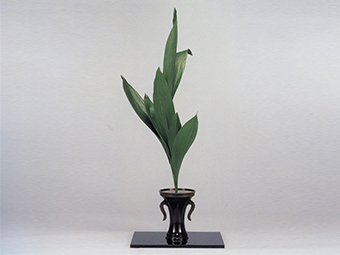 生花（しょうか） | いけばなの根源 華道家元池坊