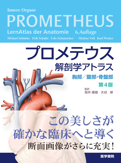 プロメテウス解剖学アトラス 胸部／腹部・骨盤部 第4版 | 書籍詳細