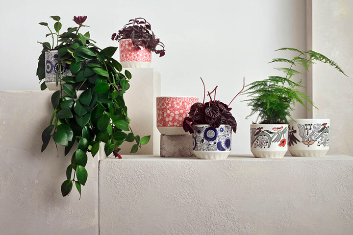 プラントポット｜ イッタラ＆アラビア公式オンラインストア