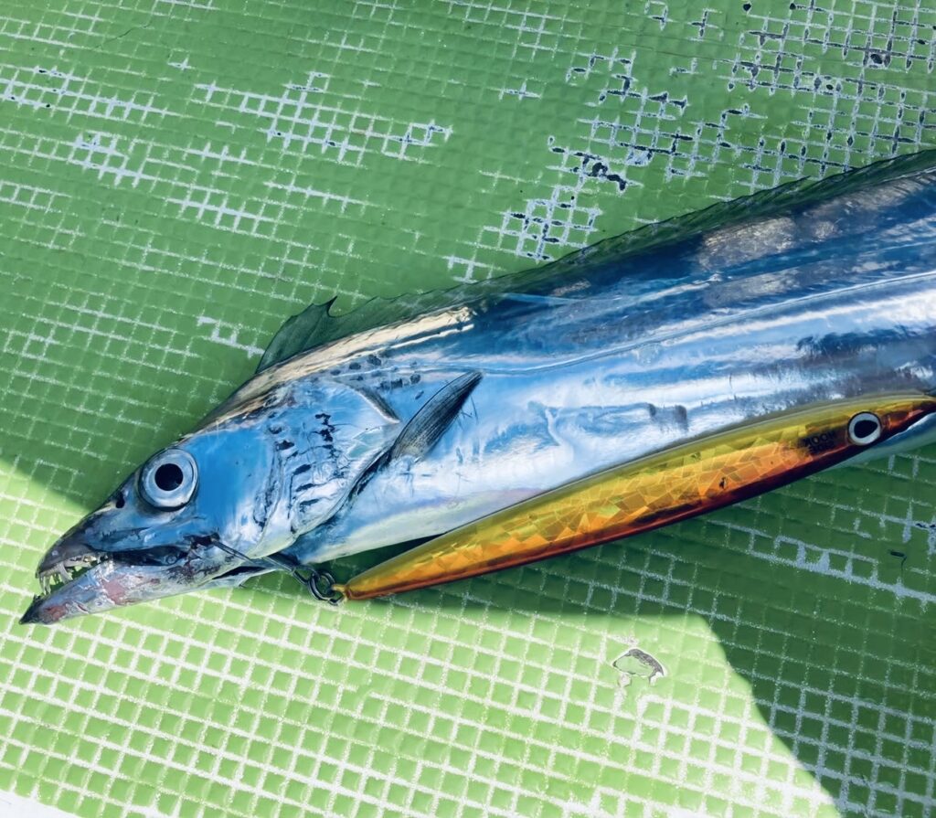 実釣インプレ】ダイワ ライトゲーム X IC【150・200】 | 磯釣りらいふろぐ