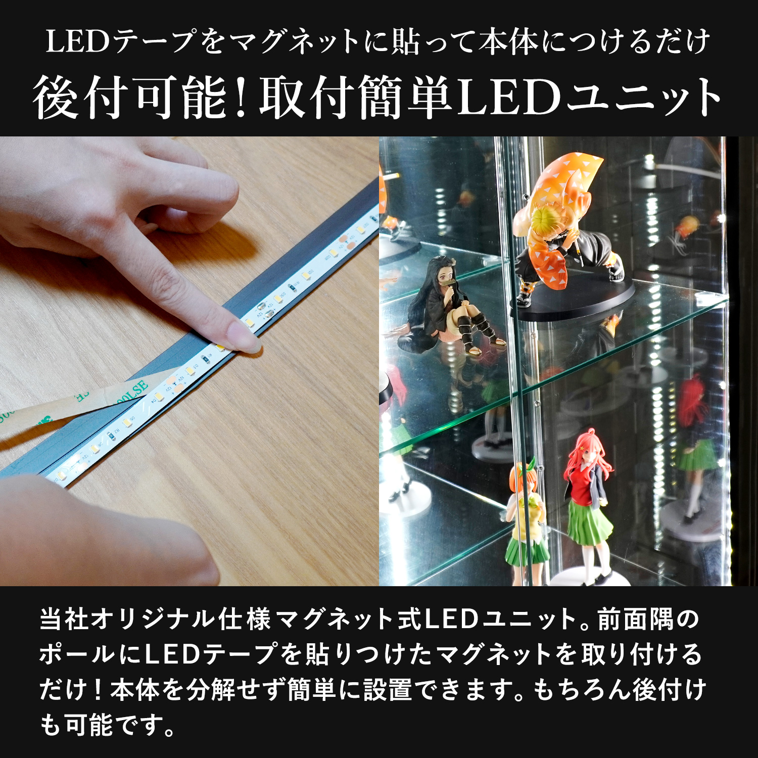 オプション] ガラスコレクションケースJONY/MISTA スリムハイタイプ