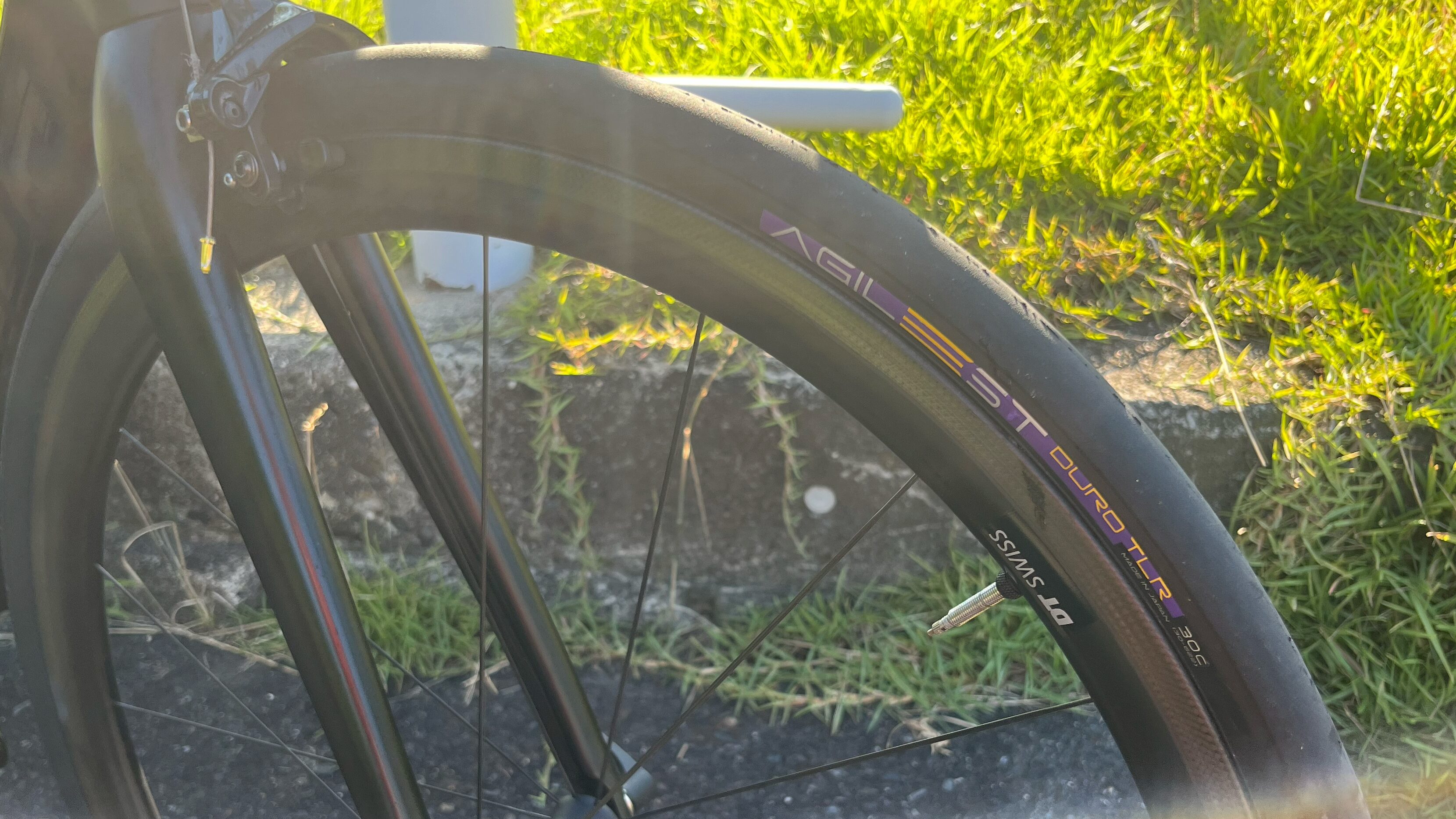 Panaracer Agilest Duro TLR インプレ【トレーニングからレースまで