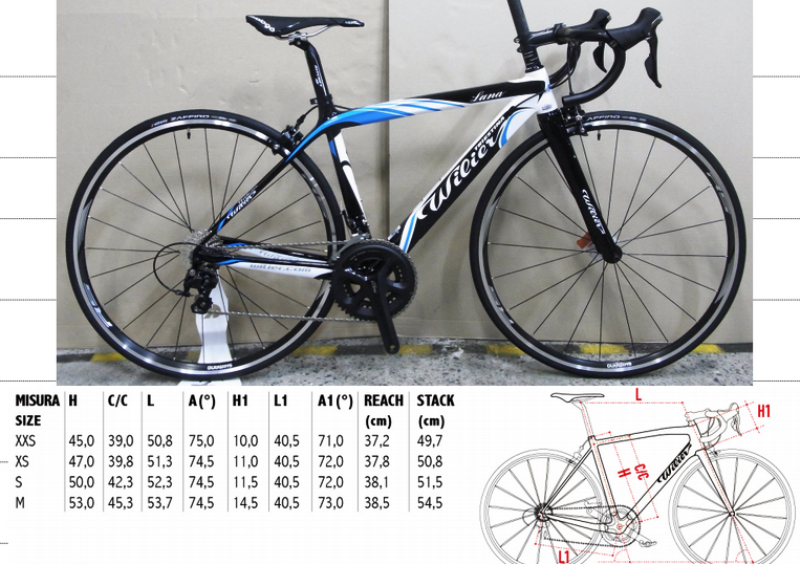 Wilier LunaCarbon/ルナカーボン XXSサイズ 入荷 – つくばの自転車店