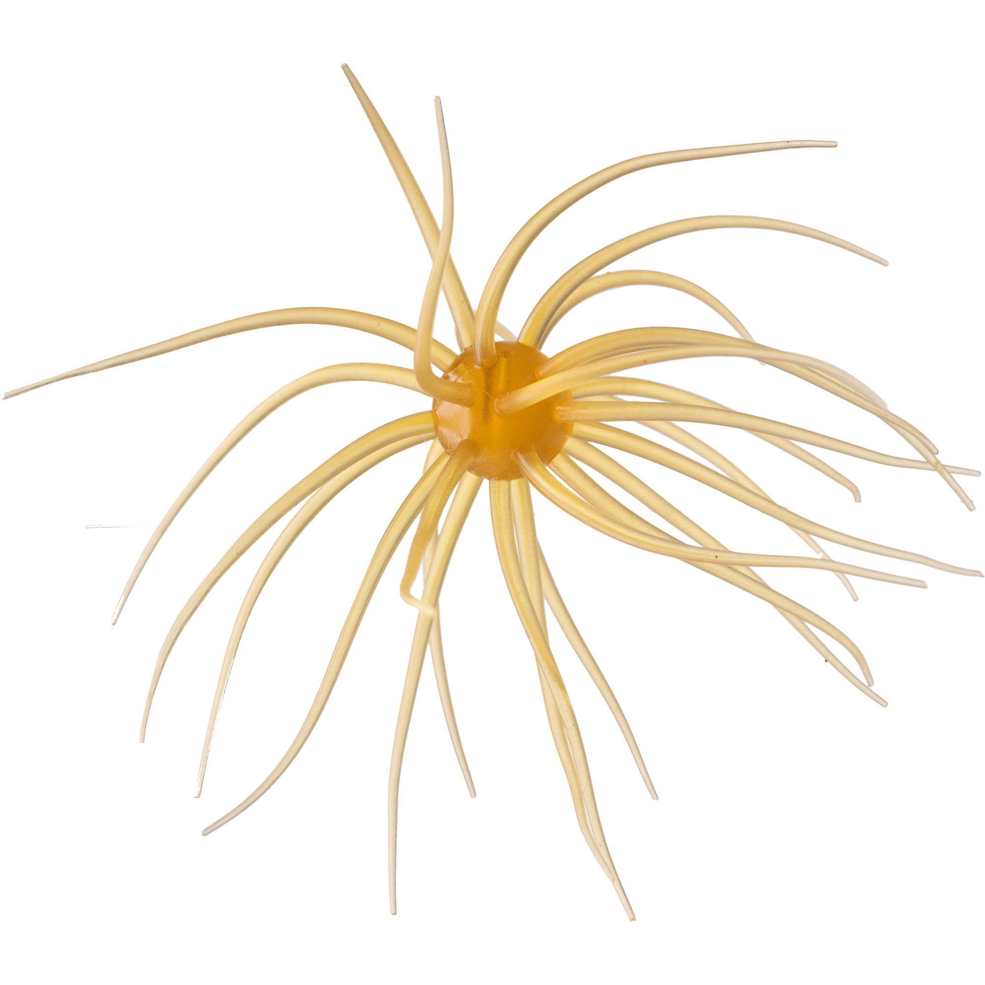 コイケ13mm HIDEUP ハイドアップ