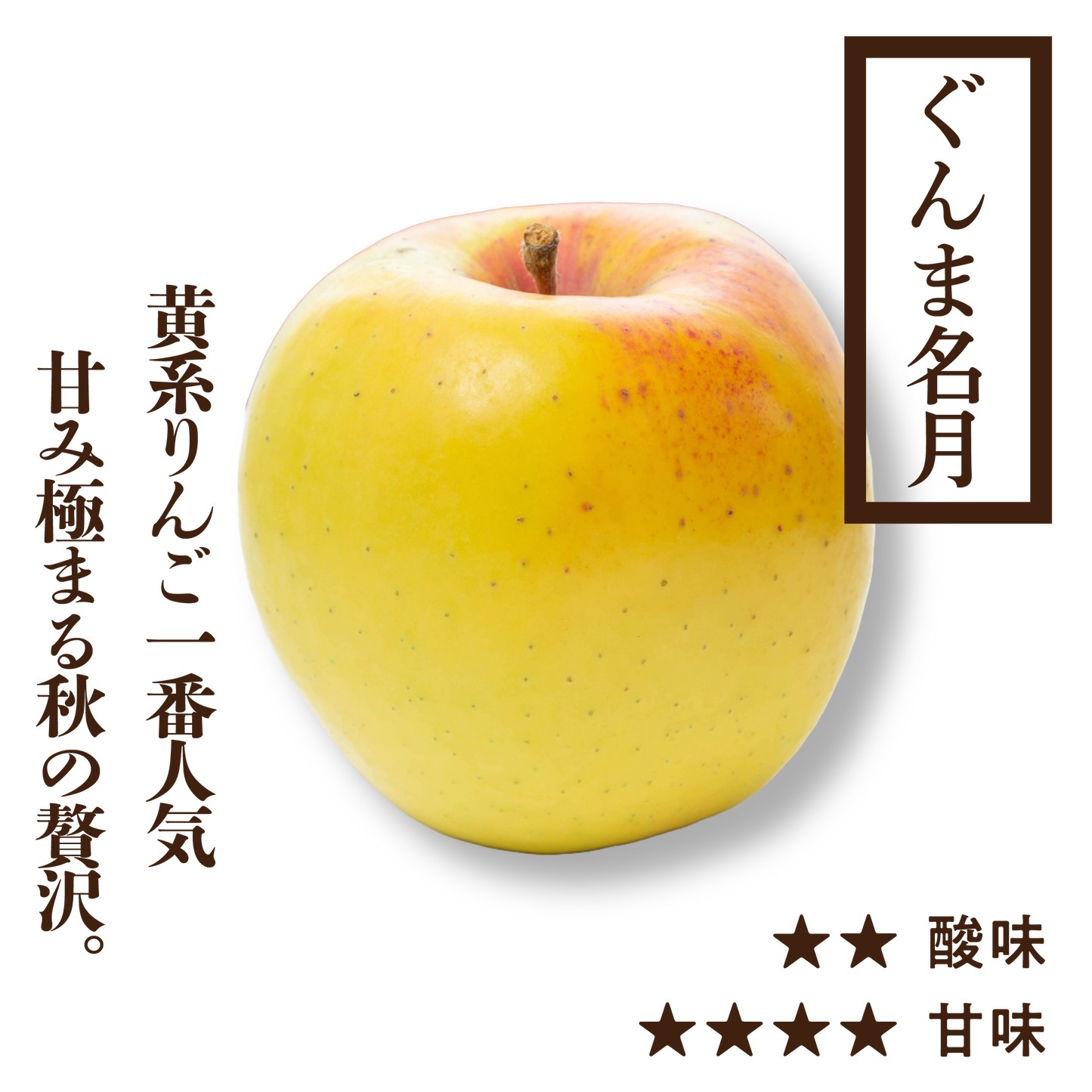 ぐんま名月 | 産地直送通販 | 青森りんご | RED APPLE（レッドアップル