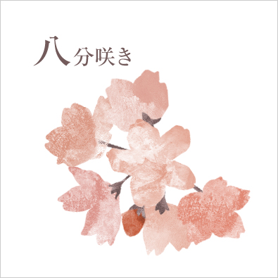 桜の開花情報の、三分咲き、五分咲き、七分咲き、満開とは？ - 弘前