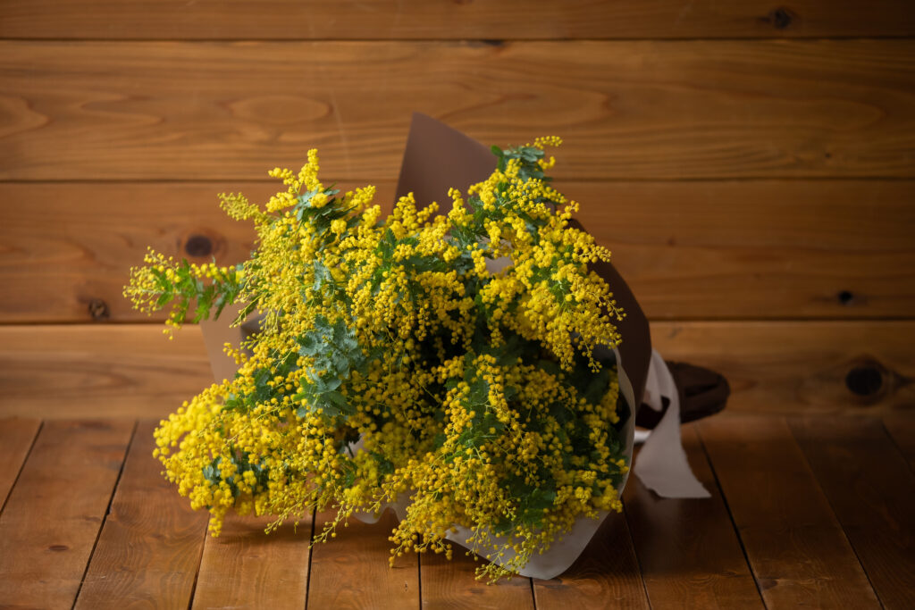 Mimosa Grand Bouquet – Spring Limited Edition/フレッシュミモザ
