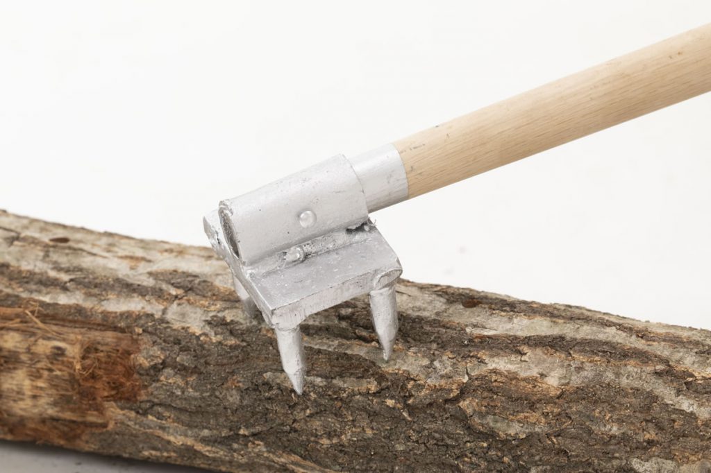 ほだ木育成」原木栽培用植菌資材 - 菌興椎茸協同組合