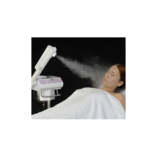 アグレックス エージーミスト707＜AGMIST-707＞ スチーマー | スチーマ