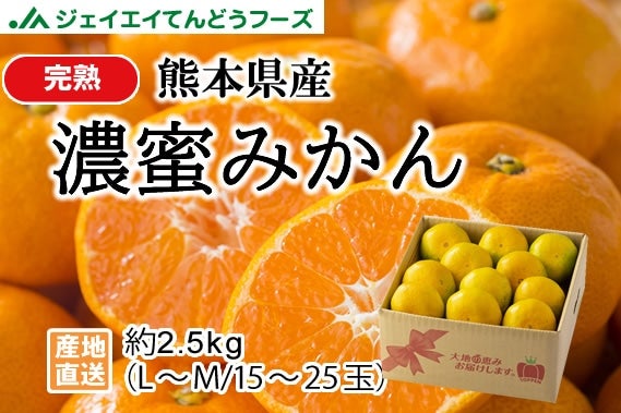 熊本県産完熟濃蜜みかん約2.5kg: JAてんどうフーズ|【JAタウン