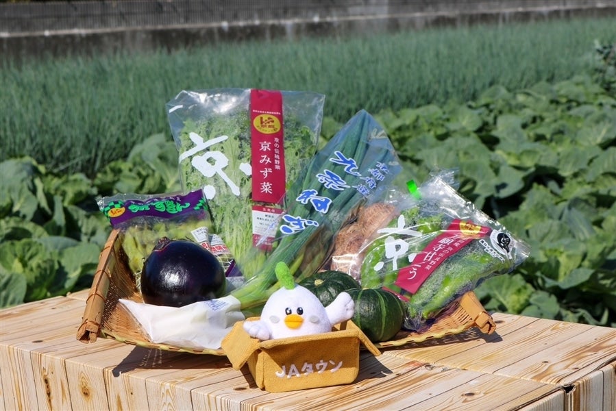 定期購入】京野菜 盛りだくさんセット 7種類程度: JA全農京都
