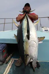 オフショアスティック GTK-66SJ - 37,900円 : 海釣り、船釣り専門店の