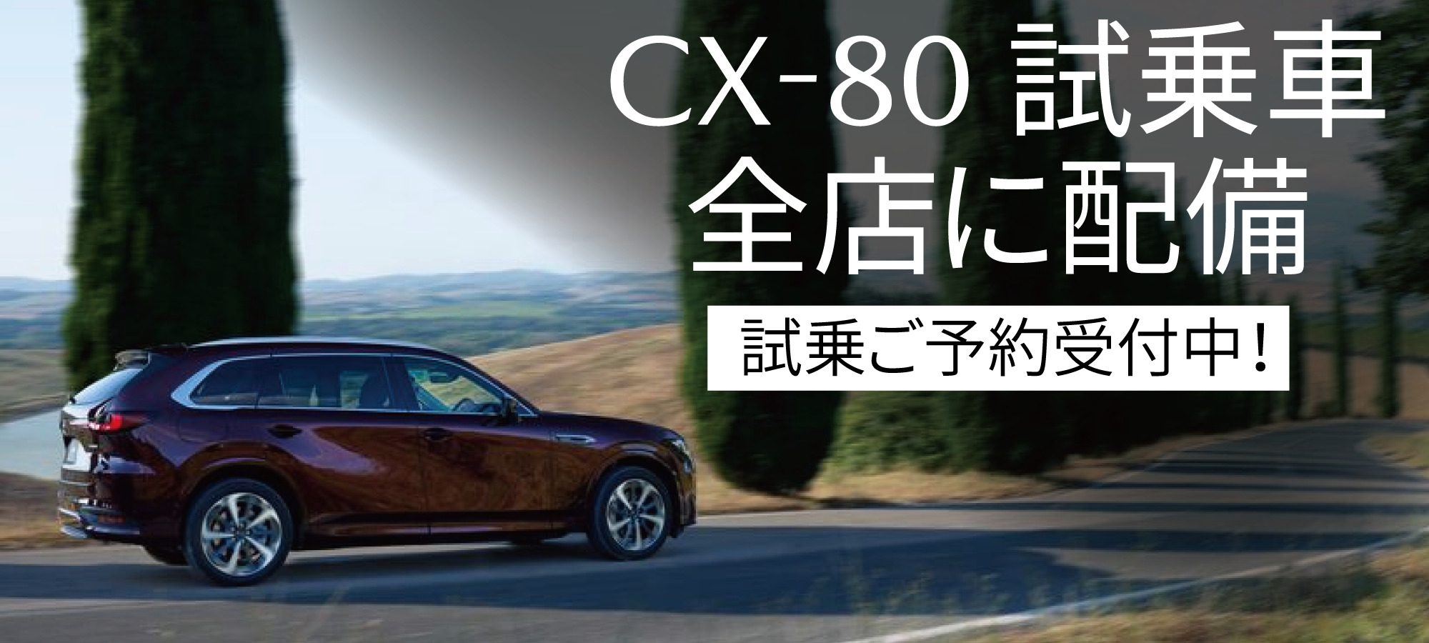 CX-80試乗車全店配備 | 大阪・関西でマツダ車のご用命は大阪マツダ販売