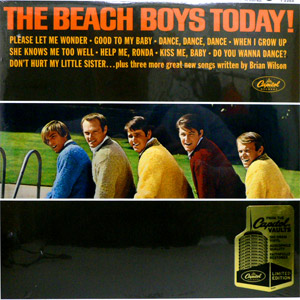 BEACH BOYS (ビーチ・ボーイズ) (LP 180g重量盤) タイトル名：TODAY