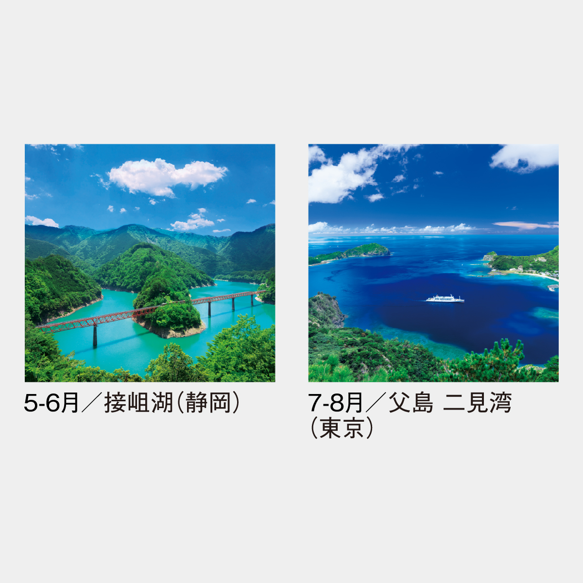 SG-501 【フィルム】ワイドニッポン2026年版の名入れカレンダーを格安