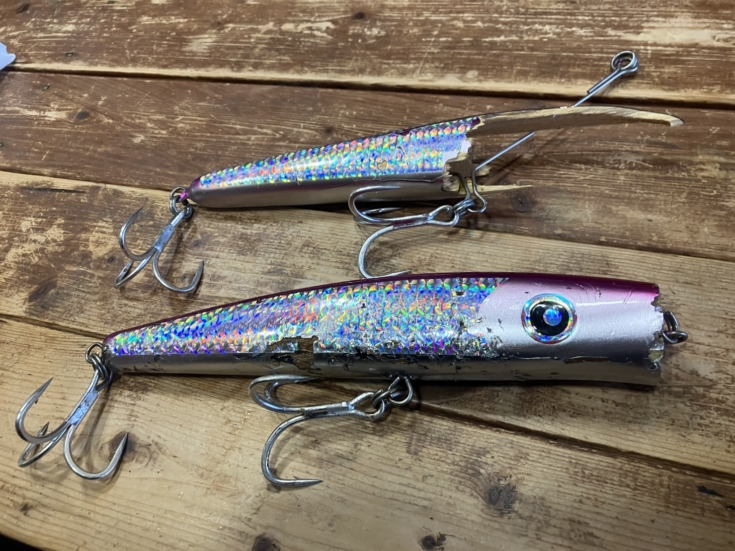 マグロキャスティングの時期がやってきました | 株式会社オーナーばり