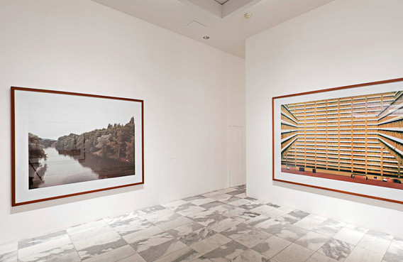 Andreas Gursky | MoMA