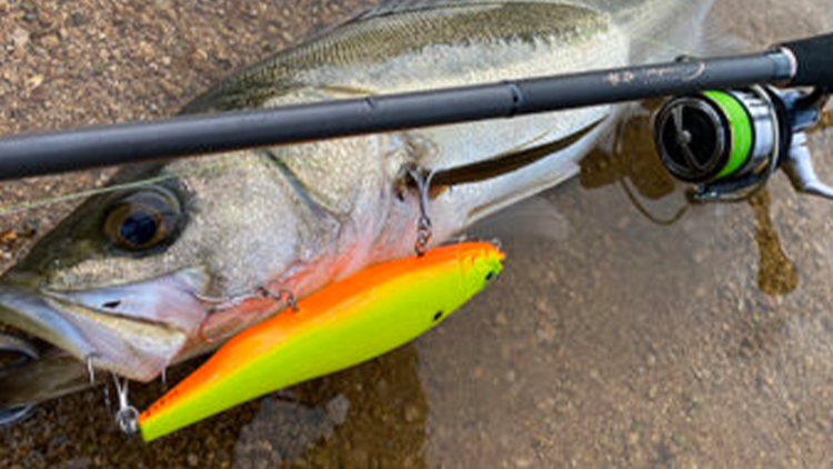 CK-83XXHS | Megabass-メガバス