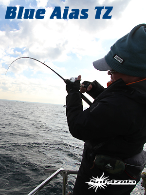 Mangrove Studio Blue Aias 642B/TZ (中古品) Mangrove Studio Blue Aias 642B/TZ (中古品) Mangrove Studio > Blue