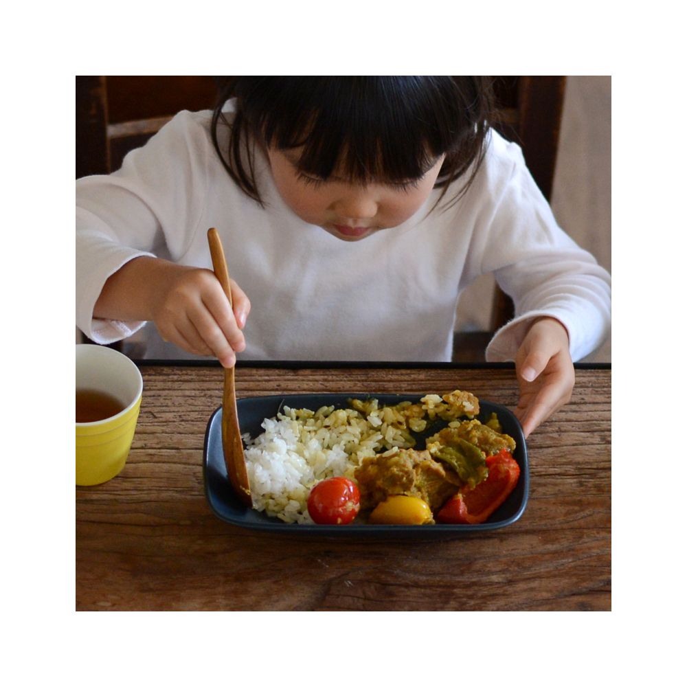 鉢・ボウル :: 15cm-21cm 中鉢・ボウルM :: エッセン 深皿S