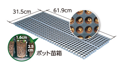 みのるポット成苗移植システム | みのる産業株式会社
