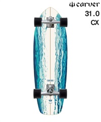 CARVER カーバー ロング スケートボード LANDスケート 31.0inch CX