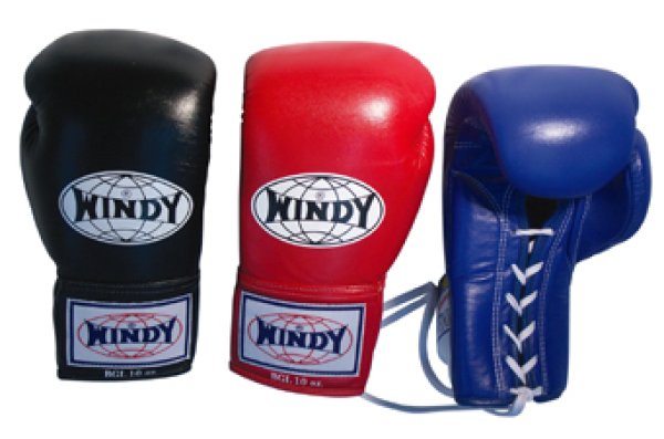 WINDY 試合用グローブ(ひも式)【受注発注商品】 - マーシャルワールド