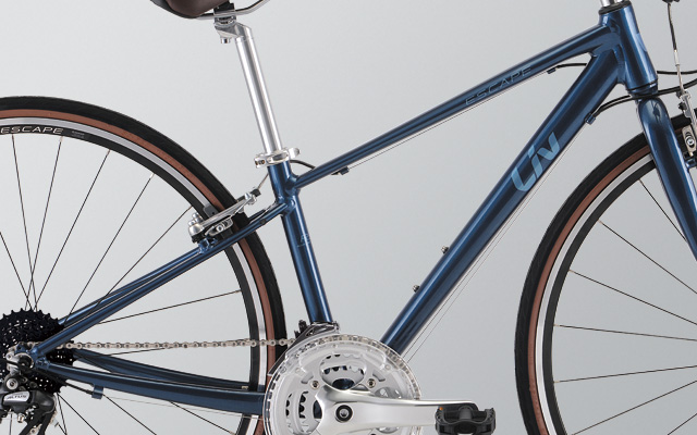 2021 Liv Cycling | ESCAPE R3 W MS (New 2022)